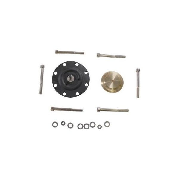 Pump Repair Parts- Kit, diaph DMX226-765 PTFE, DMX Series.